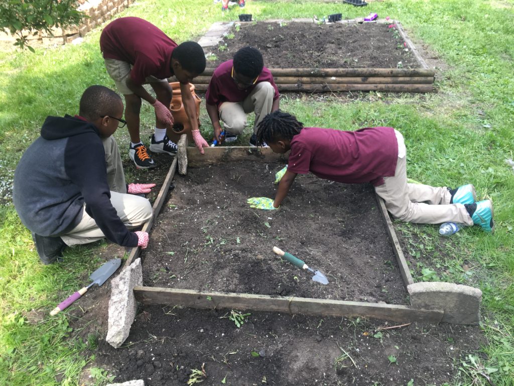 Four children engaged in gardening, kneel around a raised garden bed. They are tending the soil with small tools.