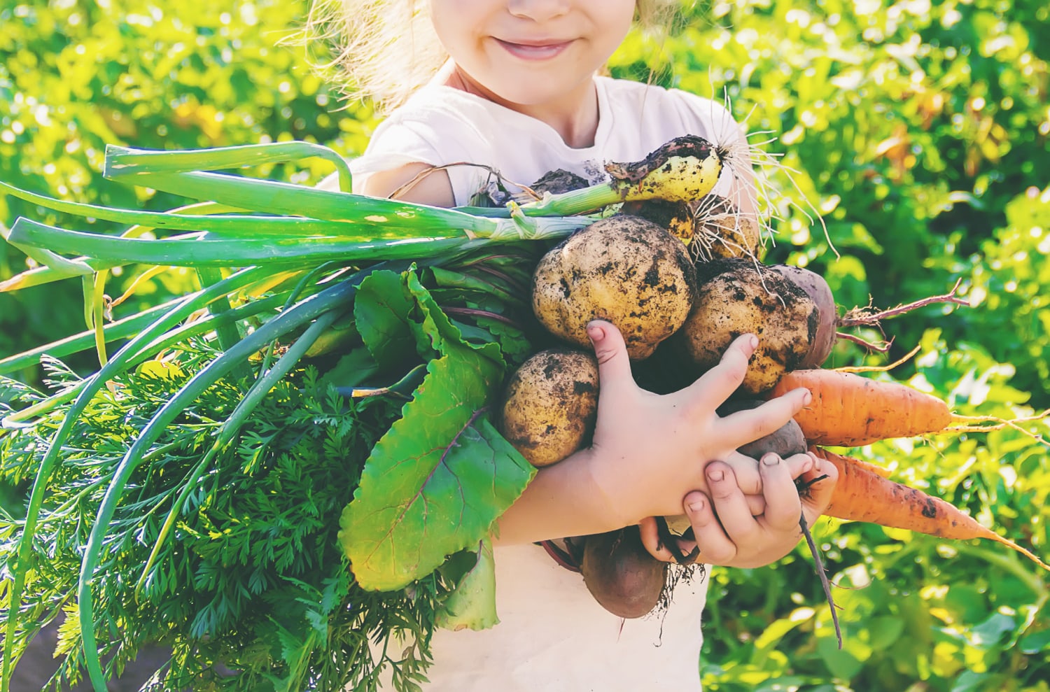 A child in a garden holds freshly picked, dirt-covered vegetables, including carrots, potatoes, and greens, smiling under bright sunlight.